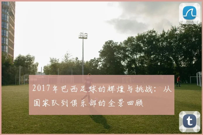 2017年巴西足球的辉煌与挑战：从国家队到俱乐部的全景回顾