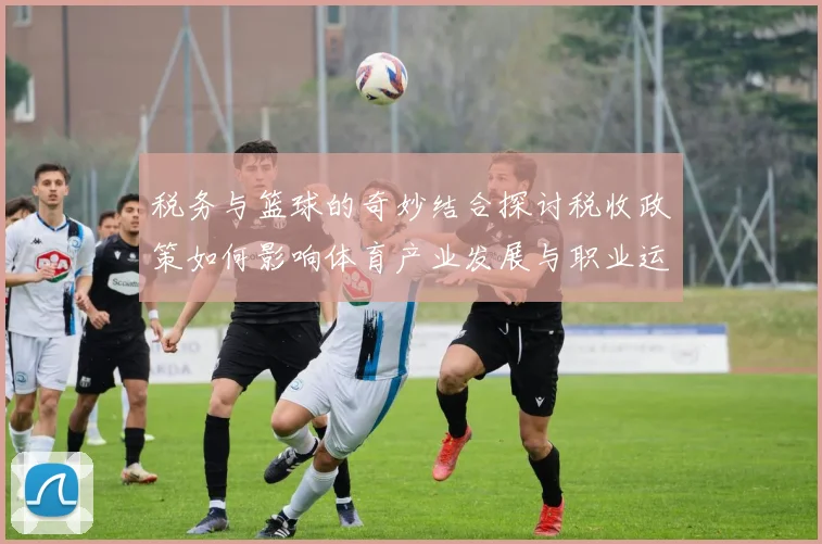 税务与篮球的奇妙结合探讨税收政策如何影响体育产业发展与职业运动员的税务筹划