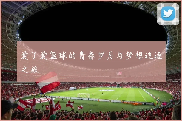 爱了爱篮球的青春岁月与梦想追逐之旅
