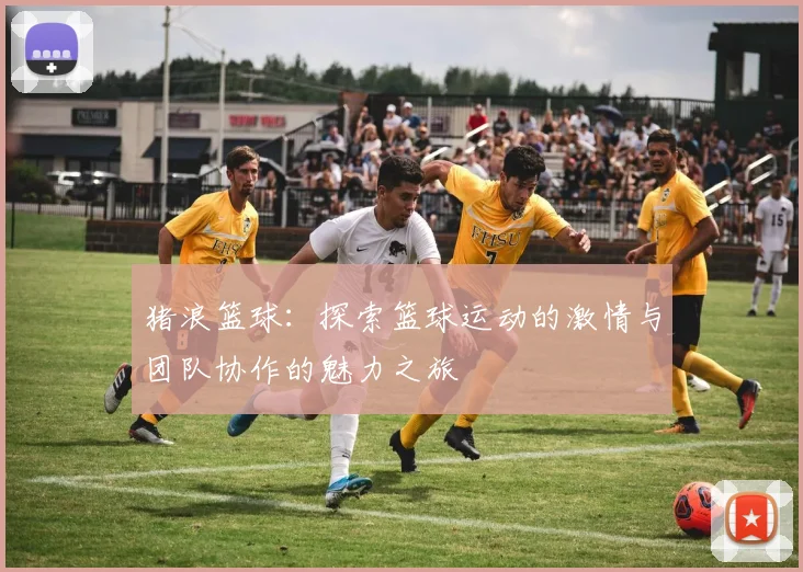 猪浪篮球：探索篮球运动的激情与团队协作的魅力之旅
