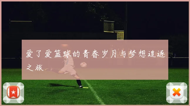 爱了爱篮球的青春岁月与梦想追逐之旅