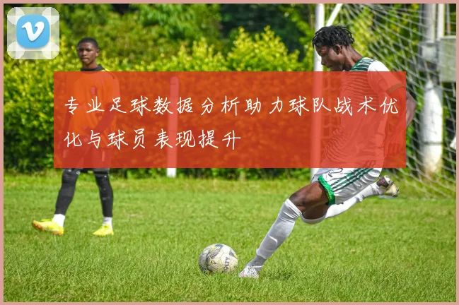 专业足球数据分析助力球队战术优化与球员表现提升